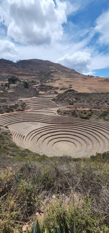 MORAY