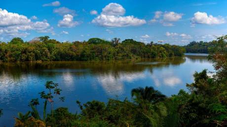 Tambopata national reserve tour 3 days